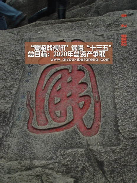 “爱游戏视讯”保险“十三五”总目标:2020年总资产争取达25万亿(图2) 爱游戏平台