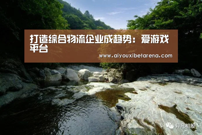 爱游戏视讯