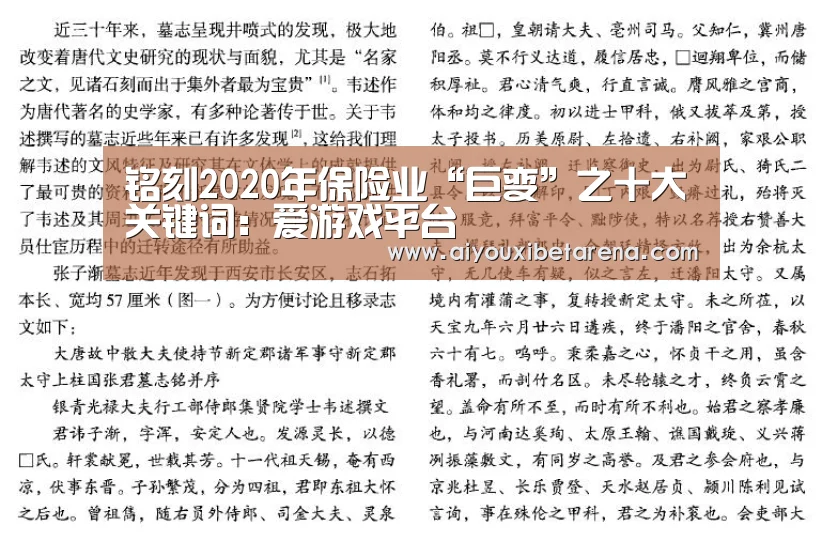 铭刻2020年保险业“巨变”之十大关键词:爱游戏平台(图4) 爱游戏APP
